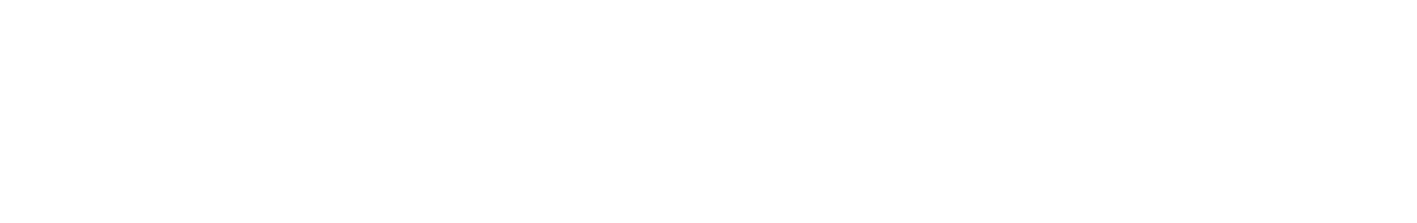DEPTH NARRATIVE LAB
